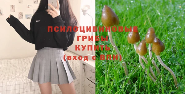 гашиш Осинники