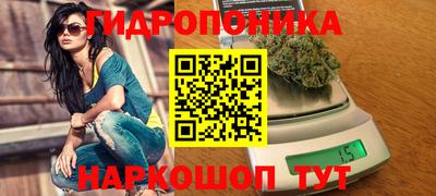 a pvp Берёзовский
