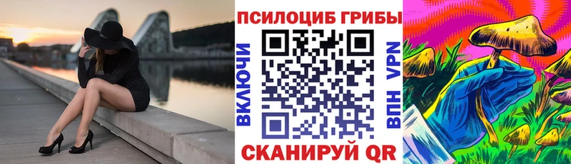 продажа наркотиков  Кудрово  Псилоцибиновые грибы ЛСД 