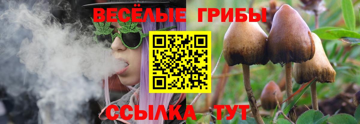 Псилоцибиновые грибы MAGIC MUSHROOMS  Вход с VPN  Кудрово 
